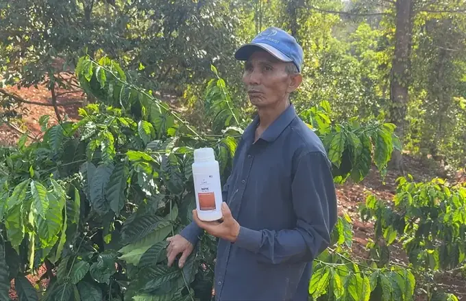 Chú Trần Hòa